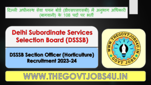 DSSSB Section Officer Online Form 2024